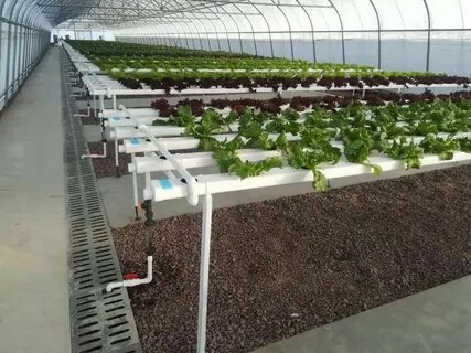 تصویر 4 از بهترین تجهیزات گلخانه صنعتی + قیمت خرید عالی